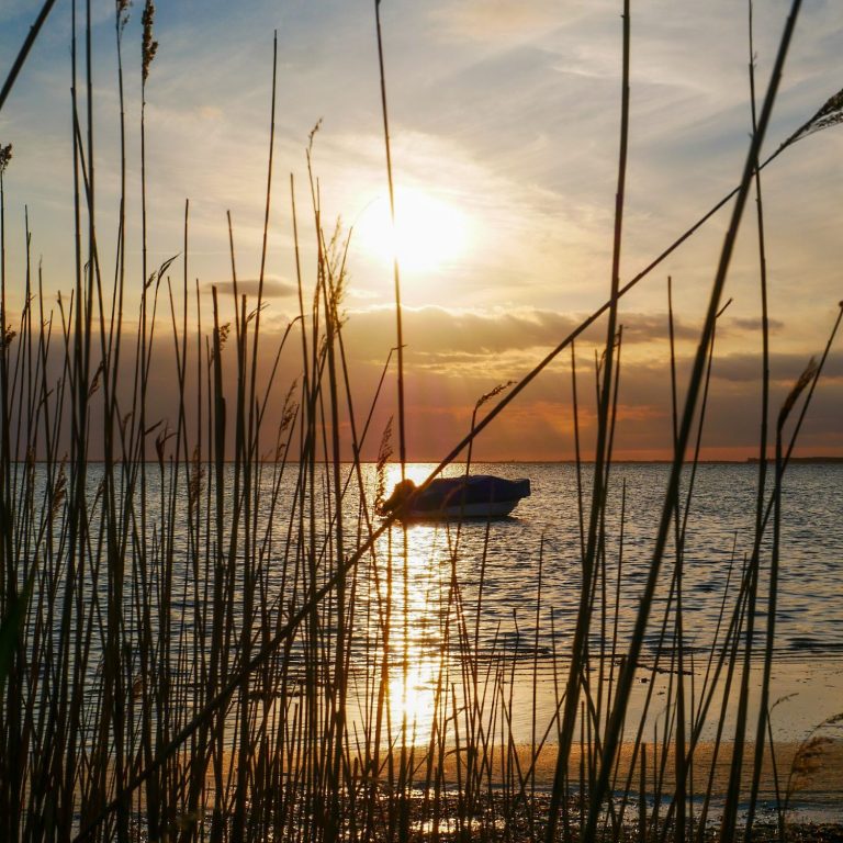 Urlaub auf Rügen