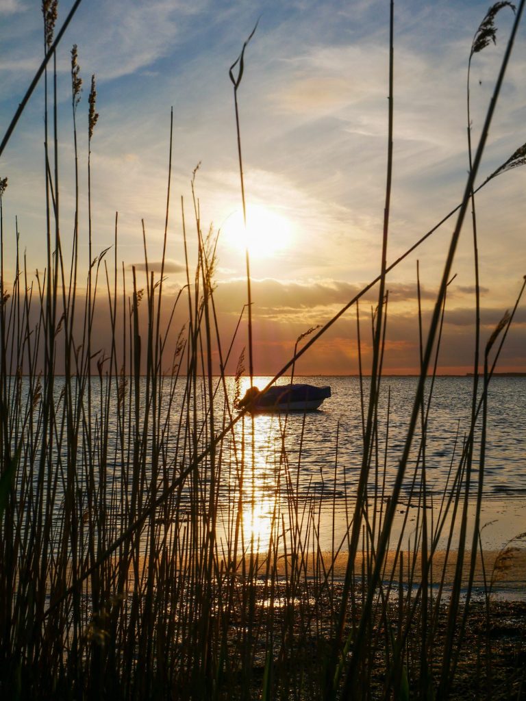 Sonnenuntergang am Bodden