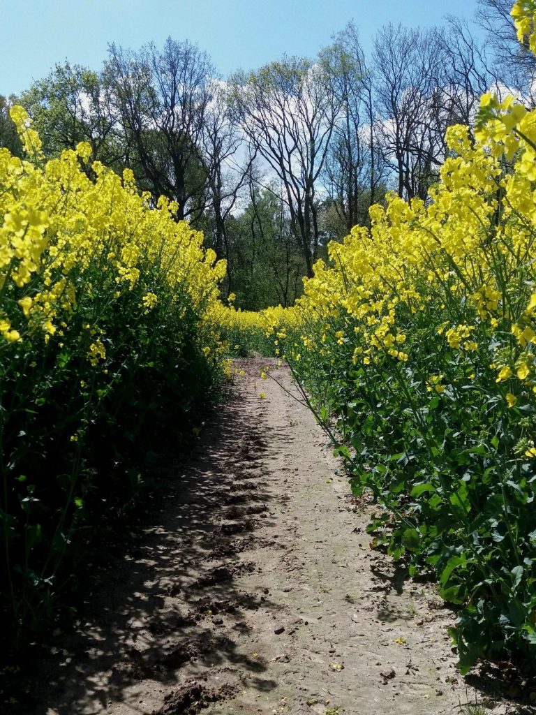 Landurlaub